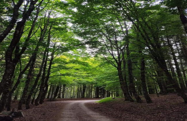 Holiday Home in Ortignano - Foto 32