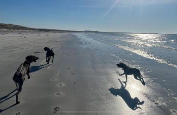 Orkney Retreats Island Farmhouses & Cottages - Photo 40