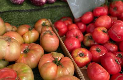 Apartment with solarium/terrace. - Foto 73