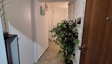 Tra I Normanni E Cattedrale Apartament Palermo - Foto 5