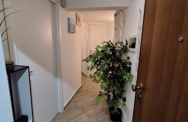 Tra I Normanni E Cattedrale Apartament Palermo - Foto 5