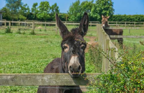 Cowslip Cottage- W43122 - Photo 31