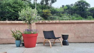 Primero Seixo antiguo - Foto 2