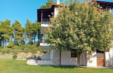 Κτήμα Verde - Foto 51