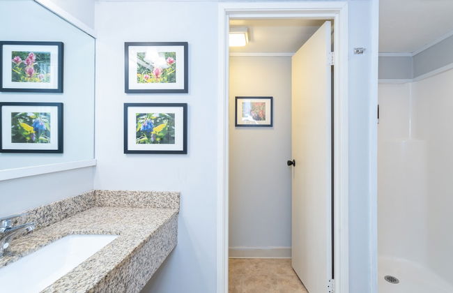 Mountainside Inn 408 1 Bedroom Hotel Room by Alpine Lodging Telluride - Foto 5