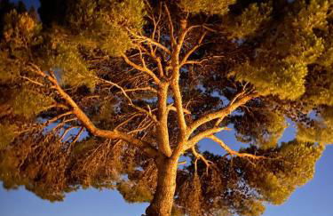 Villa con piscina con 8 camere matrimoniali ad Anacapri, by La Canostra Capri - Foto 29