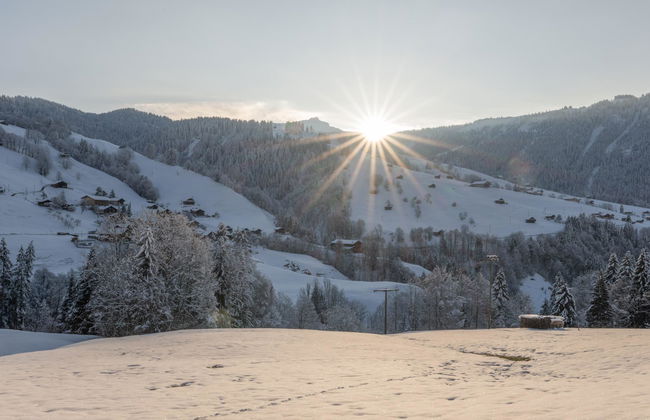 Serviced Apartment Chalet Bärgblüml i Ha - Foto 76