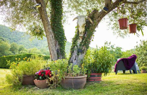 Mas Ombravella - Foto 17