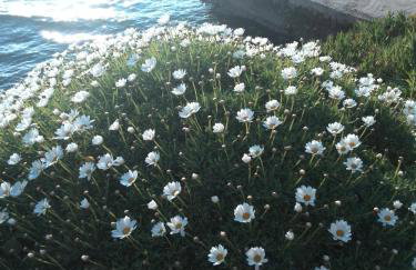 Apartment Pilatus Ošljak - Photo 45