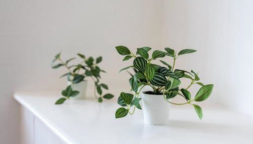 Jasmine Villa B - Ideal for QMC & Uni - Free parking - Foto 4