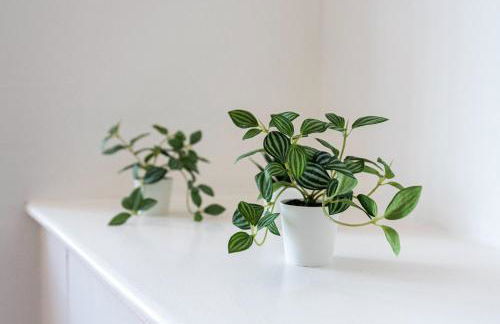 Jasmine Villa B - Ideal for QMC & Uni - Free parking - Photo 4