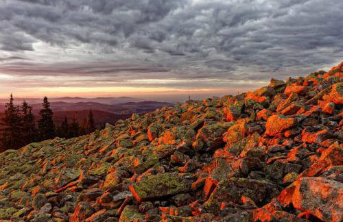Ferienwohnung im Landhaus am Nationalpark - Foto 33