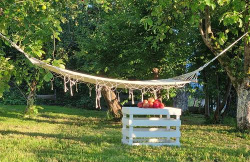 W Małym Sadzie - Foto 15