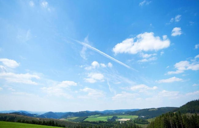 Dreislar Mountain Hideaway - Photo 36