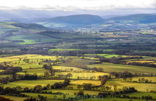 Topsy-Turvy, Gardeners Cottage, Clungunford, Ludlow, Shropshire SY70PN - Foto 11