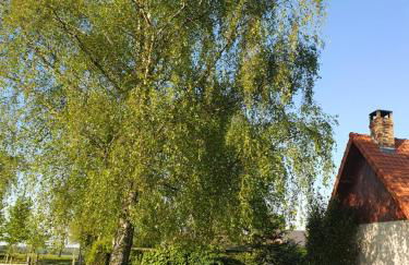 Le cottage des quatre vents - Foto 34