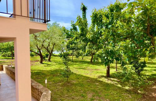 Apartments Marijan & Marija - Foto 11