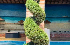 Studio Au Clos Saint Georges , piscine et Spa - Foto 13