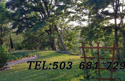 Dom Na Skarpie - Ucieczka Na Wieś - Samodzielne wejście na szyfr, 100m2 - Foto 22