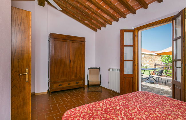 Ciliegiolo - Foto 17