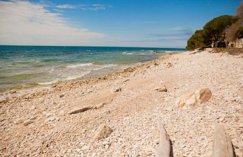 Apartman Mare - Foto 22