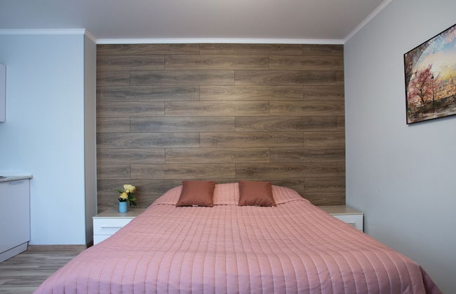 Apartment Etazhydaily Centr - Foto 69