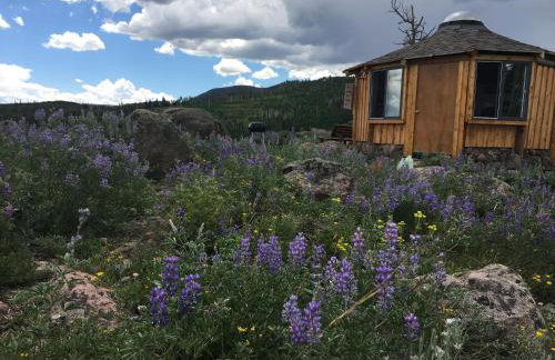 Red-tail Roundhouse at 22 West Cabins and Recreation - Foto 40