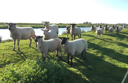 Ferienwohnung Vereinswiek 95137 - Foto 21