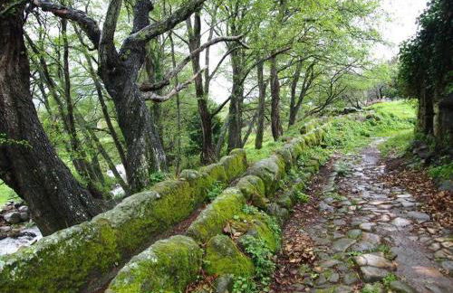 Casa Rural Las Jañonas CC-CR-00219 - Foto 36