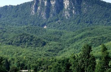 Holiday house Rukavina - Photo 38