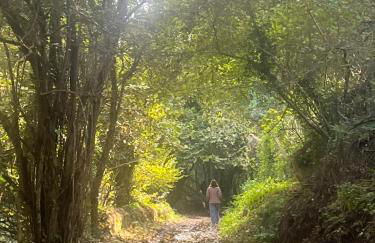 Penedo Casa do Casal Amigo - Foto 45