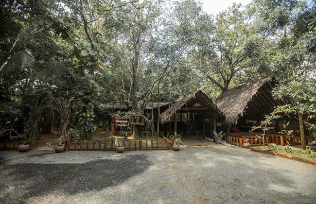 Inn On The Tree Eco Resort Sigiriya - Photo 12