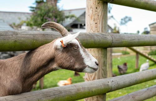 Dolphin Lodge - Photo 25