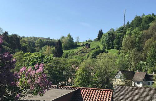 Ferienwohnungen Am Burgberg - Foto 27