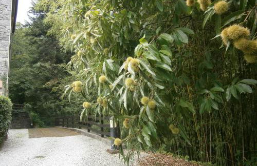 Il Bosco di Campo Marzano Garden Apartments - Foto 18