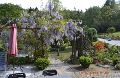 Zielony Zakątek Sosnówka - Foto 42