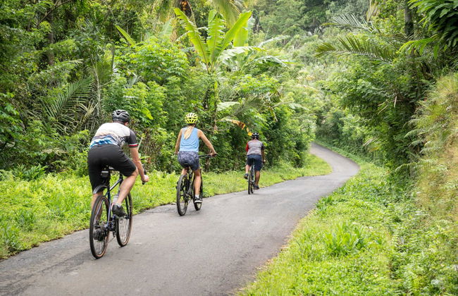 Kaura Bali - Foto 17