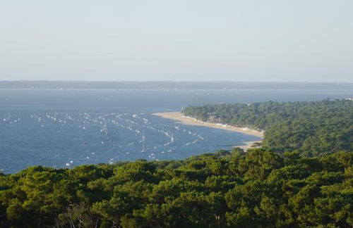 Au cœur du Bassin d'Arcachon - Foto 45
