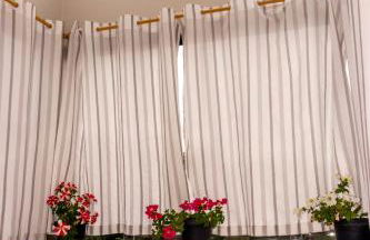 Elysium Araucária Tiny house - Foto 15