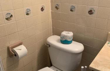 Pink Flamingo at the Beach cottage - Photo 15