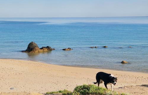 Sardegna segreta a pochi passi dal mare - Photo 21