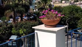 Casa di Sole Ischia - Foto 2