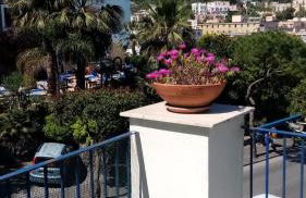 Casa di Sole Ischia - Foto 2