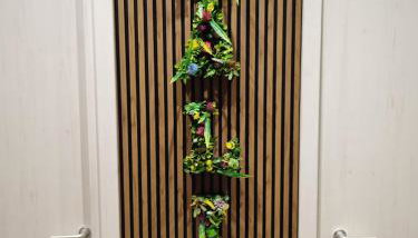 Nalí Guest House - Foto 5