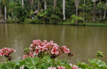 Chalé a 500 metros do Pico Malwee - Foto 17