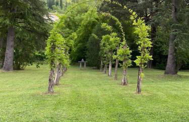 Spacious villa in Tourrettes-sur-Loup with Private Lake access Sleep 16 - Foto 8