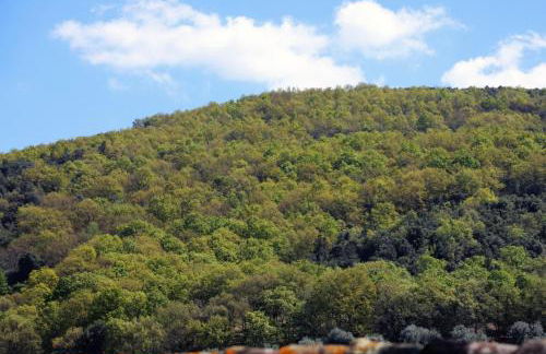 Masseria Procacci - Foto 14