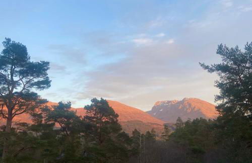 Star Lodges - Photo 10