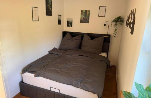 Alpen-Oase - Foto 11