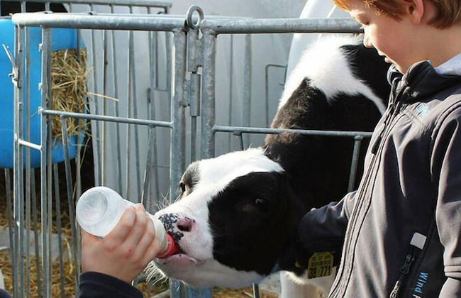 Bernis Ferienhaus - Foto 20